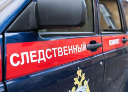 Трехлетняя девочка утонула в частном пруду в Воронеже 