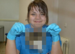 Фото с отрубленными головами животных займется воронежская полиция