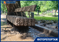 Грязевой коллапс или ничего страшного: как главные парки Воронежа пережили аномальный ливень