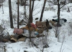 «Каждый день свозит в лес»: воронежцы рассказали о странном «коллекционере»