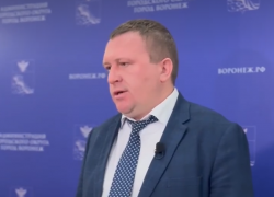 Чиновник воронежской мэрии высказался о трагическом ДТП с гибелью подростка и падением дорожного знака 