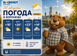 Лишь бы не сгореть: прогноз погоды в Воронеже