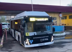 Новенькие автобусы-«гармошки» выпустили на линию в Воронеже