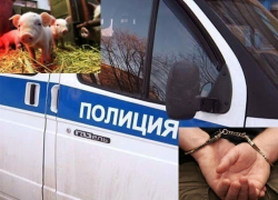 В Воронежской области вооруженный мужчина напал на ферму, чтобы уничтожить улики