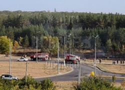 Последствия ландшафтного пожара в воронежском Шилово попали на видео