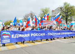 В праймериз воронежской «Единой России» исключают участников с судимостями 