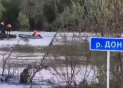 Опубликовано видео последствий падения автомобиля с моста в реку Дон в Воронежской области