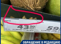 Неприятных существ среди фруктов нашла жительница Воронежа в магазине