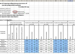 Горизбирком завысил общее количество избирателей в Воронеже почти на 11 тысяч человек