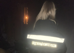 Следственный комитет возбудил уголовное дело после гибели девочки на пожаре в Воронеже 