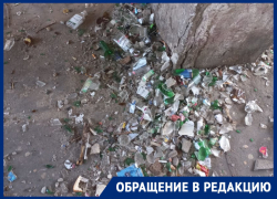 Кладбище битого стекла злит своим существованием жителей воронежского двора 