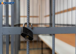 Сколько преступлений зарегистрировали в Воронежской области в 2025 году