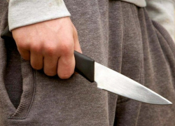 Следователи рассказали подробности нападения на 10-летнюю девочку в Воронеже