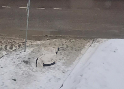 Труп мужчины нашли у офисного здания в центре Воронежа