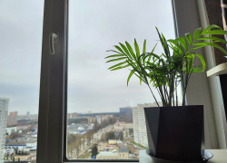 Один БПЛА сбили в небе над одним из районов Воронежской области 