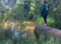 Водоканал уличили в сбросе нечистот в Воронежское водохранилище