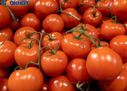 Чудовищный рост цен на помидоры вновь зафиксировали в Воронеже