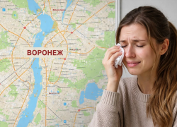 «Река говна» и остановки в чистом поле: читатели составили «Карту боли» Воронежа