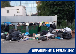 Огромная помойка под окнами исторического здания выросла в центре Воронежа 
