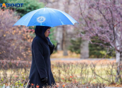 Время перемен и размышлений: гороскоп для всех знаков зодиака 