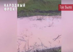 Она исчезла: приключения розовой жижи в Воронежской области продолжаются