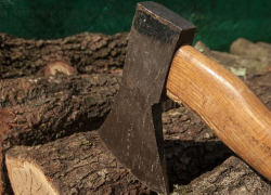 Воронежский дровосек "попал" на 3 миллиона за массовую вырубку деревьев