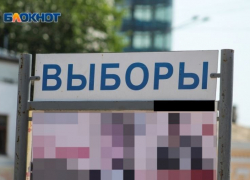 Стартовал прием заявок на участие в дистанционном электронном голосовании в Воронежской области