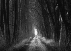 Пропавшего по дороге на работу воронежца нашли мертвым