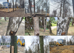 В безалаберном обновлении парка Дурова обвинили мэрию Воронежа