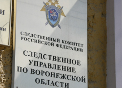 Ревнивец, избивший друга до смерти, пойдет под суд в Воронеже 