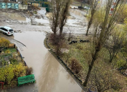 Фото семилукского позора поделились воронежцы и вспомнили о туристическом налоге