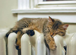 В Воронеже назвали самый "тёплый" район