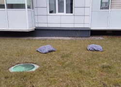 Следы ночевки на газоне заметили в Воронеже