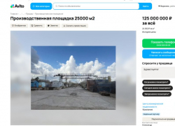 Промплощадку с железной дорогой продают за 125 млн рублей в Воронеже