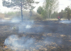 Шашлычники устроили пожар у пляжа в Воронеже и сбежали, бросив паспорт 