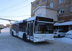 Популярный воронежский маршрут расширили тремя автобусами 