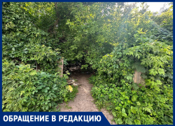 Пристанище асоциальных личностей нашли в Воронеже 