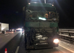 Фото с места смертельного ДТП с двумя грузовиками показали в Воронеже 