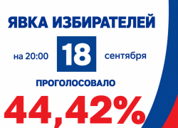 Беспрецедентная явка зафиксирована в первый день ЕДГ-2026 в Воронежской области