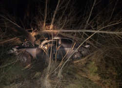  Фото с места смертельного ДТП с деревом показали воронежские полицейские 
