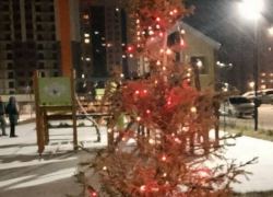 Очень грустную елочку заметили в предновогоднем Воронеже