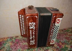 Житель Воронежской области, ощутивший острую потребность в живой музыке, похитил гармонь у соседки
