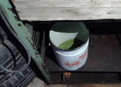 Опасную находку скрывала кровать жителя Воронежской области