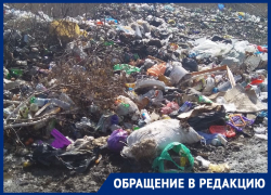 Место героической обороны и кровопролитных боев превратили в отвратительную свалку в Воронежской области