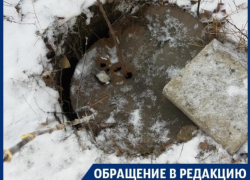 Пятилетний ребенок угодил в «капкан» у школы в Воронеже 