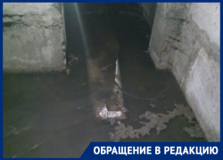 Воронежцы замерзают в собственных квартирах и винят в бедах УК 