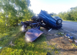 От машины осталась половина: опубликовано фото с места гибели водителя в Воронежской области 