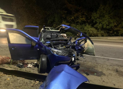 Появились подробности смертельного ДТП на воронежской трассе