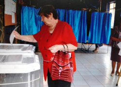 Единороссы разбили конкурентов на сельских выборах в Воронежской области