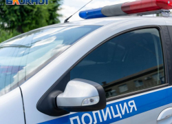 Неизвестный лихач снес на переходе двух детей и скрылся с места ДТП в Воронеже